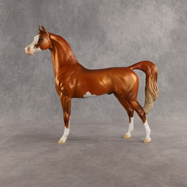 Capulet OOAK Arabian Stallion by Jess Hamill SHCF26