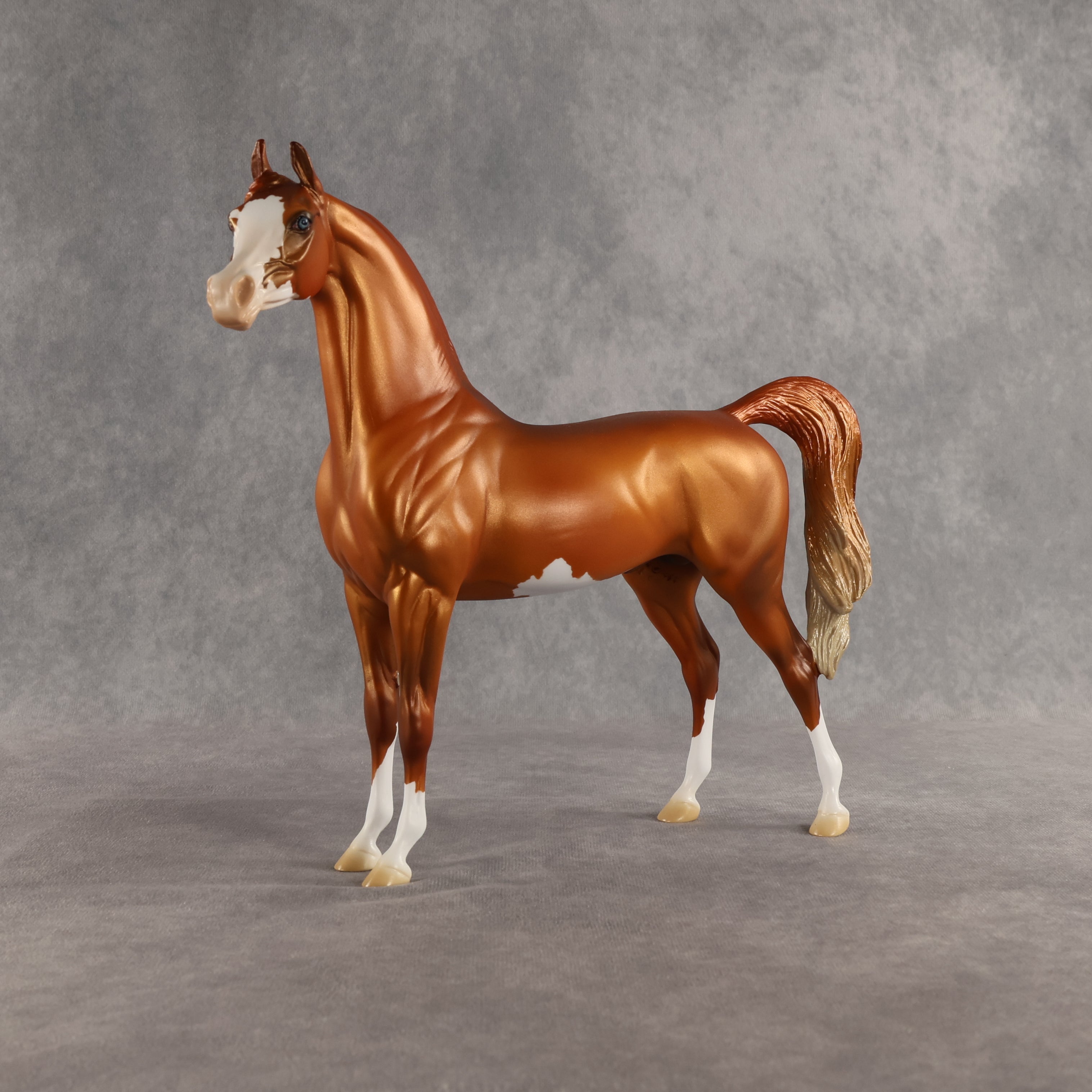 Capulet OOAK Arabian Stallion by Jess Hamill SHCF26