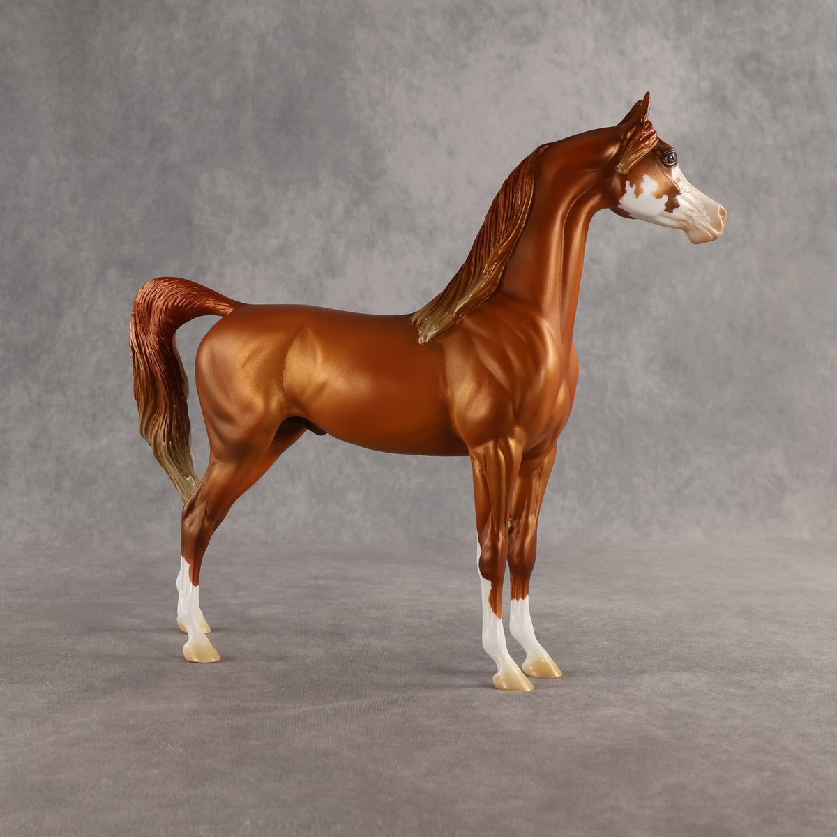 Capulet OOAK Arabian Stallion by Jess Hamill SHCF26