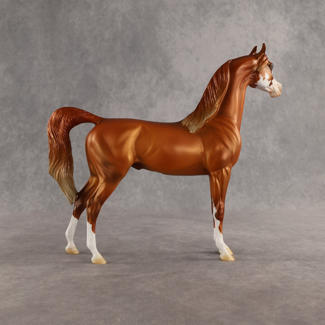 Capulet OOAK Arabian Stallion by Jess Hamill SHCF26