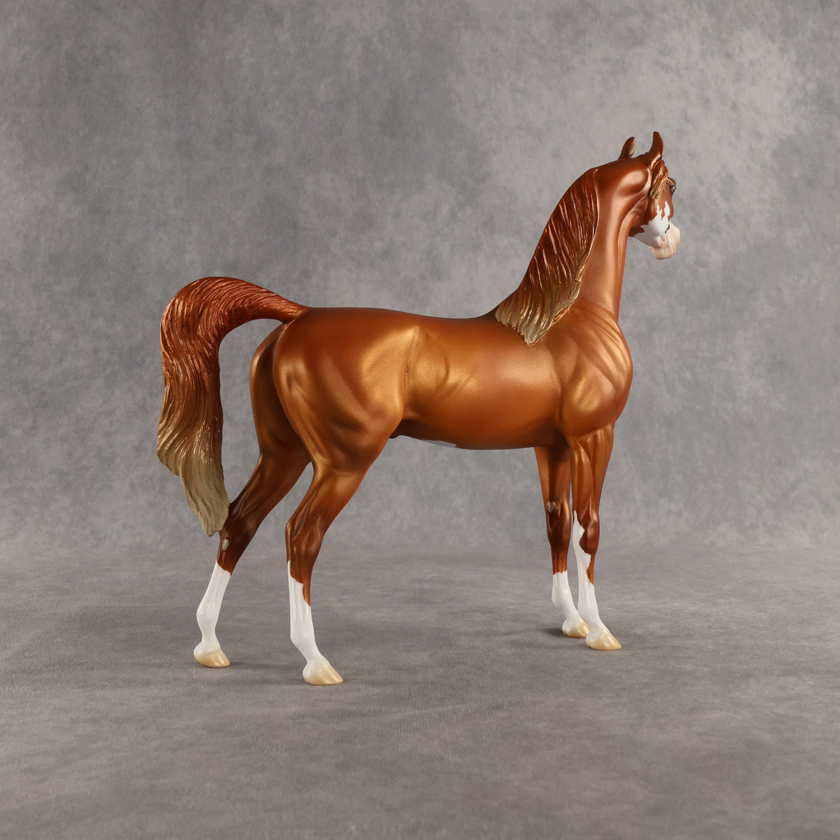 Capulet OOAK Arabian Stallion by Jess Hamill SHCF26
