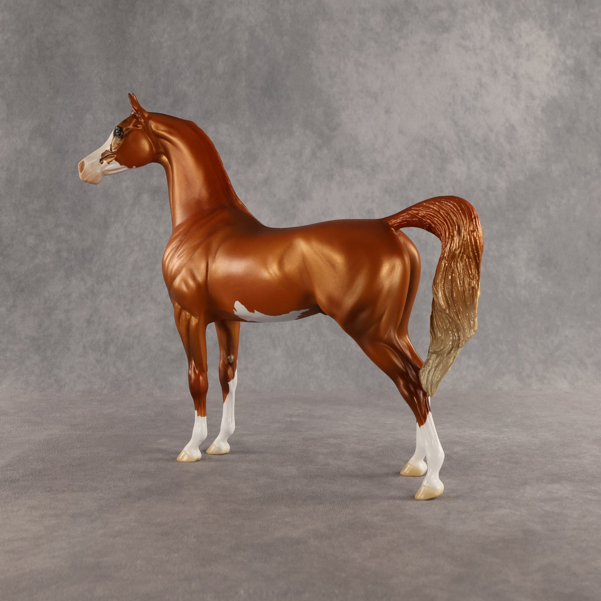 Capulet OOAK Arabian Stallion by Jess Hamill SHCF26