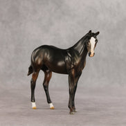 Brook OOAK Stock Horse Weanling by Julie Keim VV26