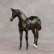 Brook OOAK Stock Horse Weanling by Julie Keim VV26
