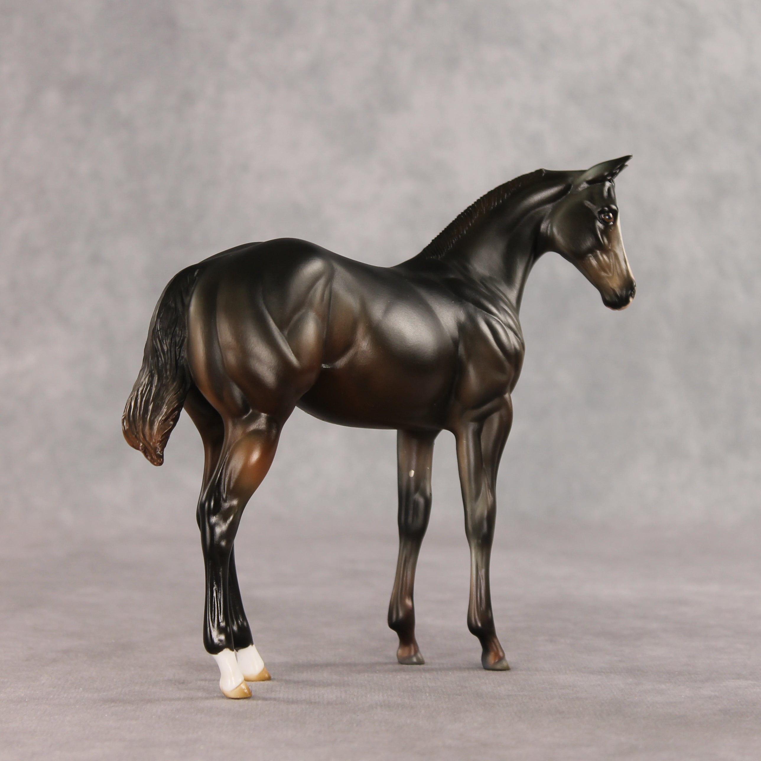 Brook OOAK Stock Horse Weanling by Julie Keim VV26