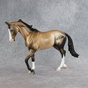 Bullseye OOAK Thoroughbred by Dawn Quick DDOOAKs26