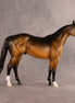 Buoy OOAK Ideal Stock Horse by Madi Wiseman EQ26
