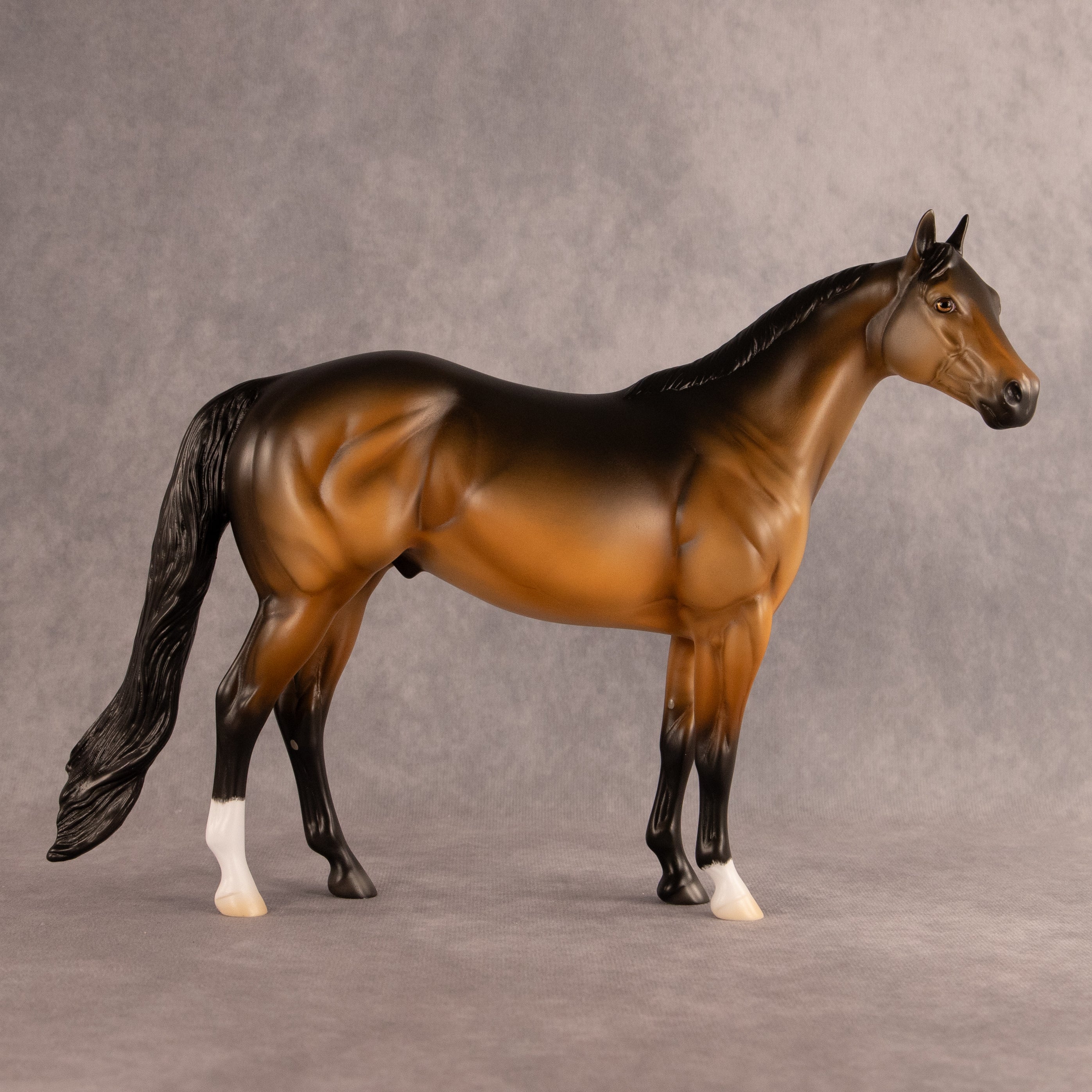 Buoy OOAK Ideal Stock Horse by Madi Wiseman EQ26