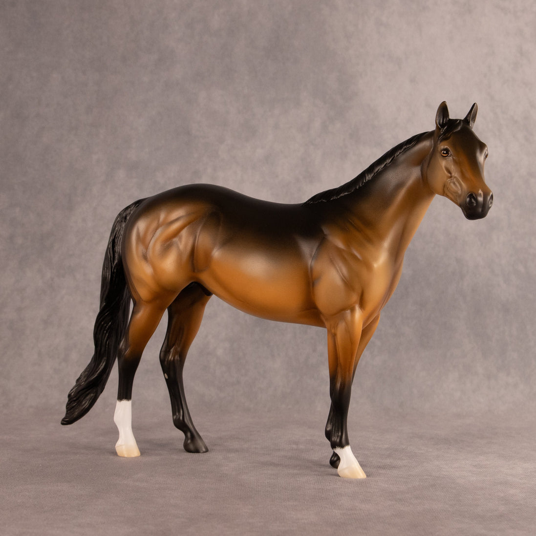 Buoy OOAK Ideal Stock Horse by Madi Wiseman EQ26