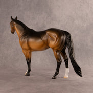 Buoy OOAK Ideal Stock Horse by Madi Wiseman EQ26