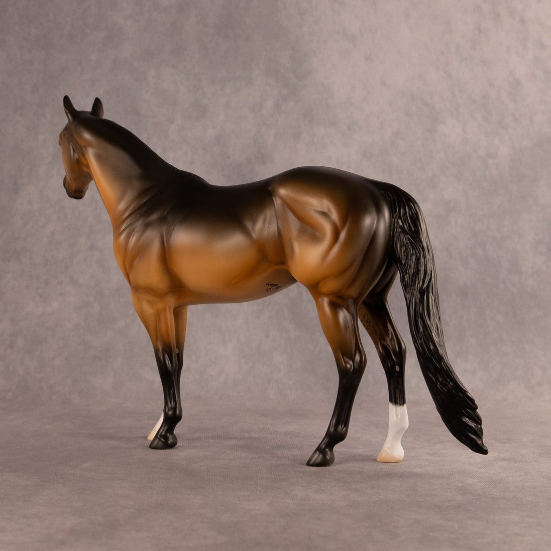 Buoy OOAK Ideal Stock Horse by Madi Wiseman EQ26