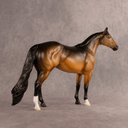Buoy OOAK Ideal Stock Horse by Madi Wiseman EQ26