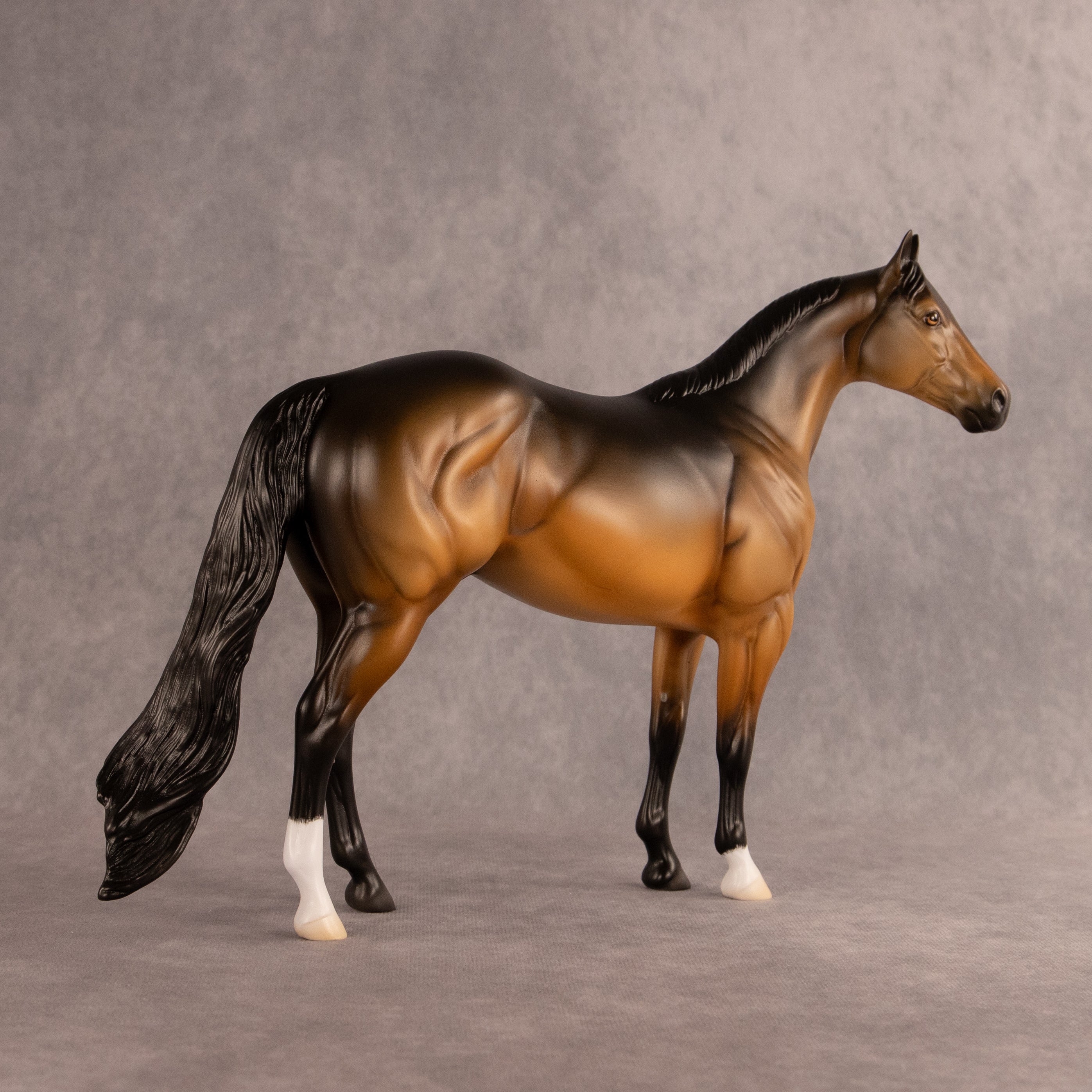 Buoy OOAK Ideal Stock Horse by Madi Wiseman EQ26