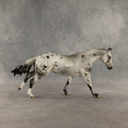 Butternut Squash OOAK FCM Remington by Jess Hamill DDOOAKs26