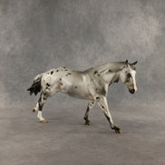 Butternut Squash OOAK FCM Remington by Jess Hamill DDOOAKs26