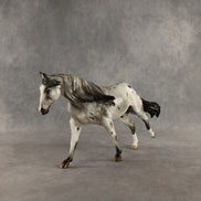 Butternut Squash OOAK FCM Remington by Jess Hamill DDOOAKs26