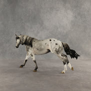 Butternut Squash OOAK FCM Remington by Jess Hamill DDOOAKs26