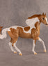 Butterscotch OOAK FCM Arabian Mare by Erin Corbett EQ26