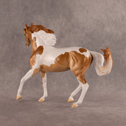 Butterscotch OOAK FCM Arabian Mare by Erin Corbett EQ26