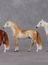 Andalusian Chip Grab Bag - January 2025 We've Got History Shakespeare Chips Painted By Ellen Robbins CL25