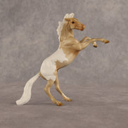 Calico OOAK Chip Mustang by Madi Wiseman EQ26