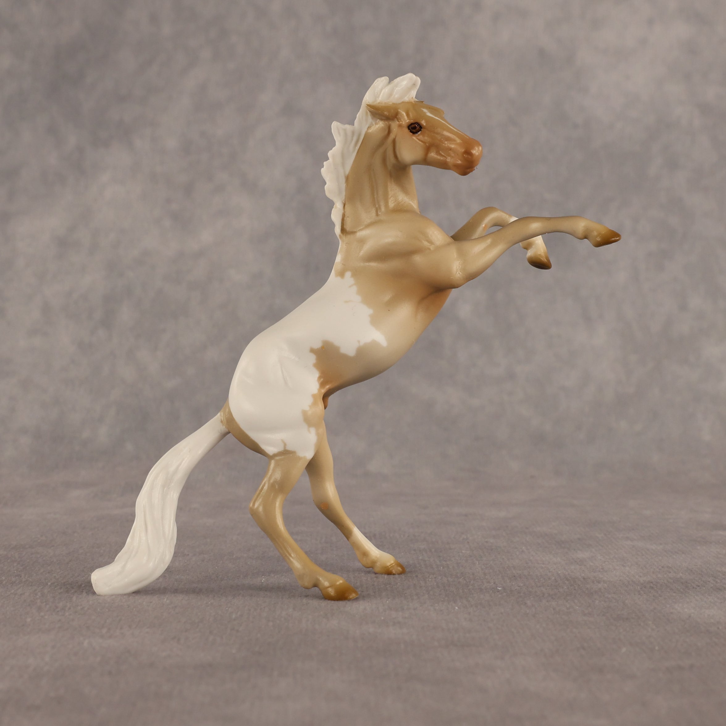 Calico OOAK Chip Mustang by Madi Wiseman EQ26