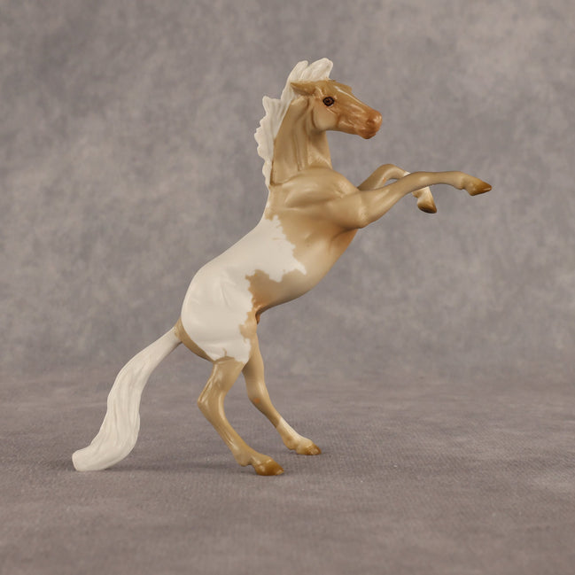 Calico OOAK Chip Mustang by Madi Wiseman EQ26