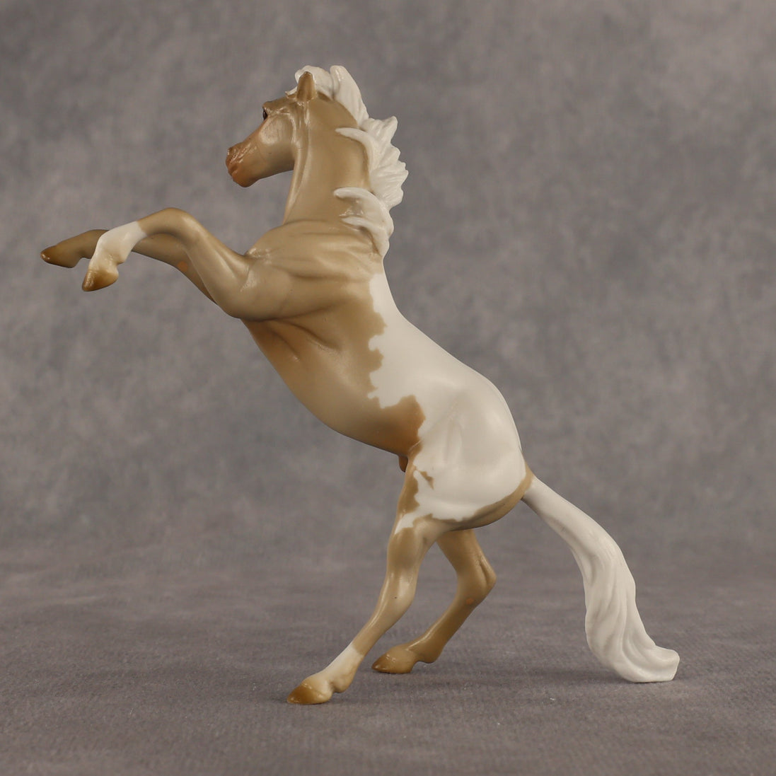 Calico OOAK Chip Mustang by Madi Wiseman EQ26