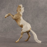 Calico OOAK Chip Mustang by Madi Wiseman EQ26