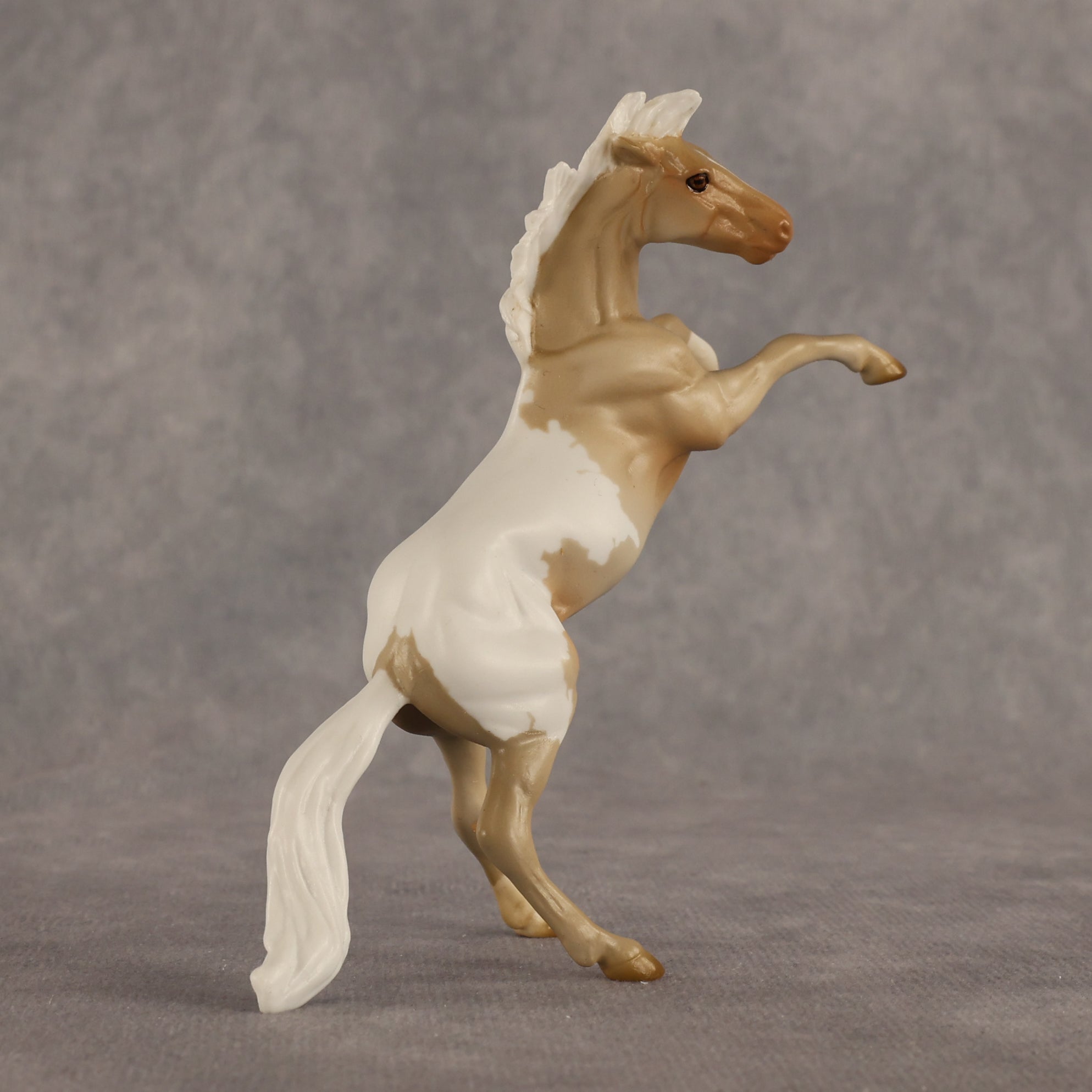 Calico OOAK Chip Mustang by Madi Wiseman EQ26