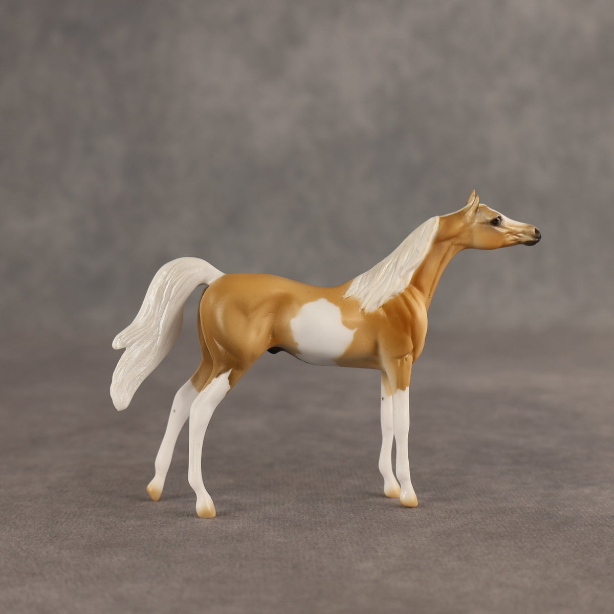 Calvin  OOAK Chip Arabian by Dawn Quick SHCF26