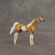Calvin  OOAK Chip Arabian by Dawn Quick SHCF26