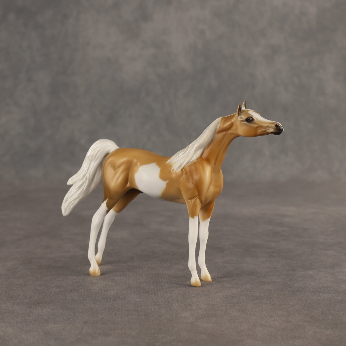 Calvin  OOAK Chip Arabian by Dawn Quick SHCF26
