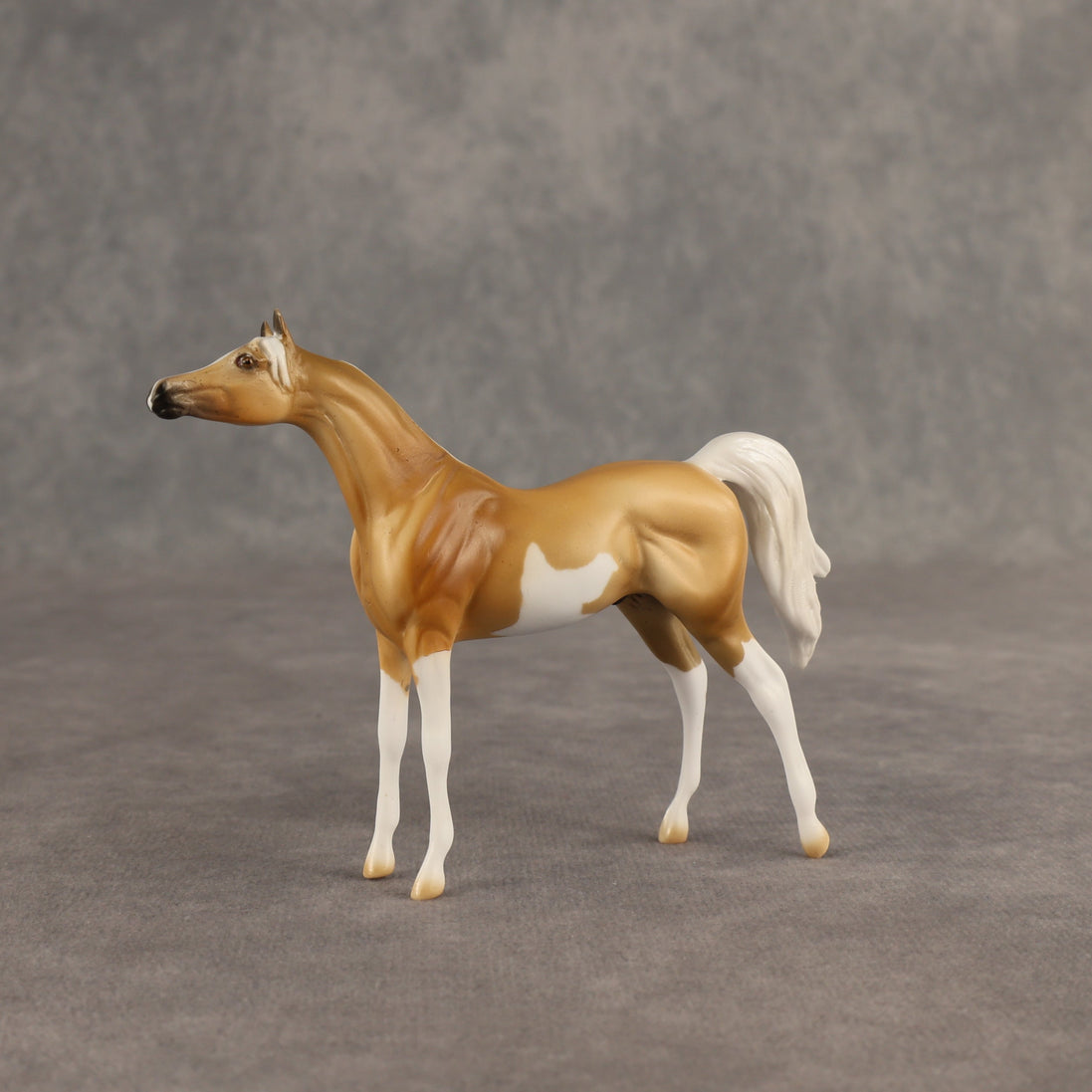 Calvin  OOAK Chip Arabian by Dawn Quick SHCF26
