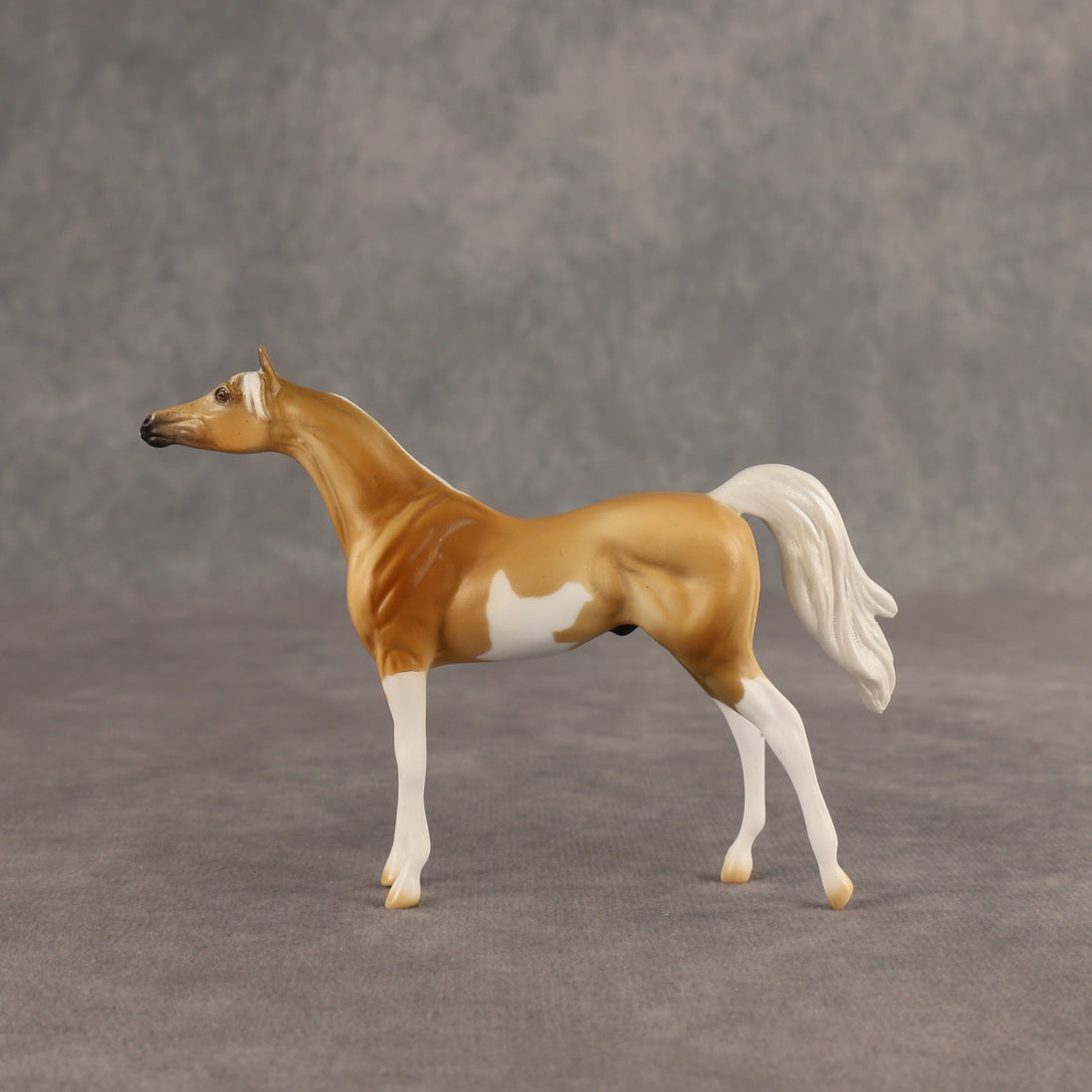 Calvin  OOAK Chip Arabian by Dawn Quick SHCF26
