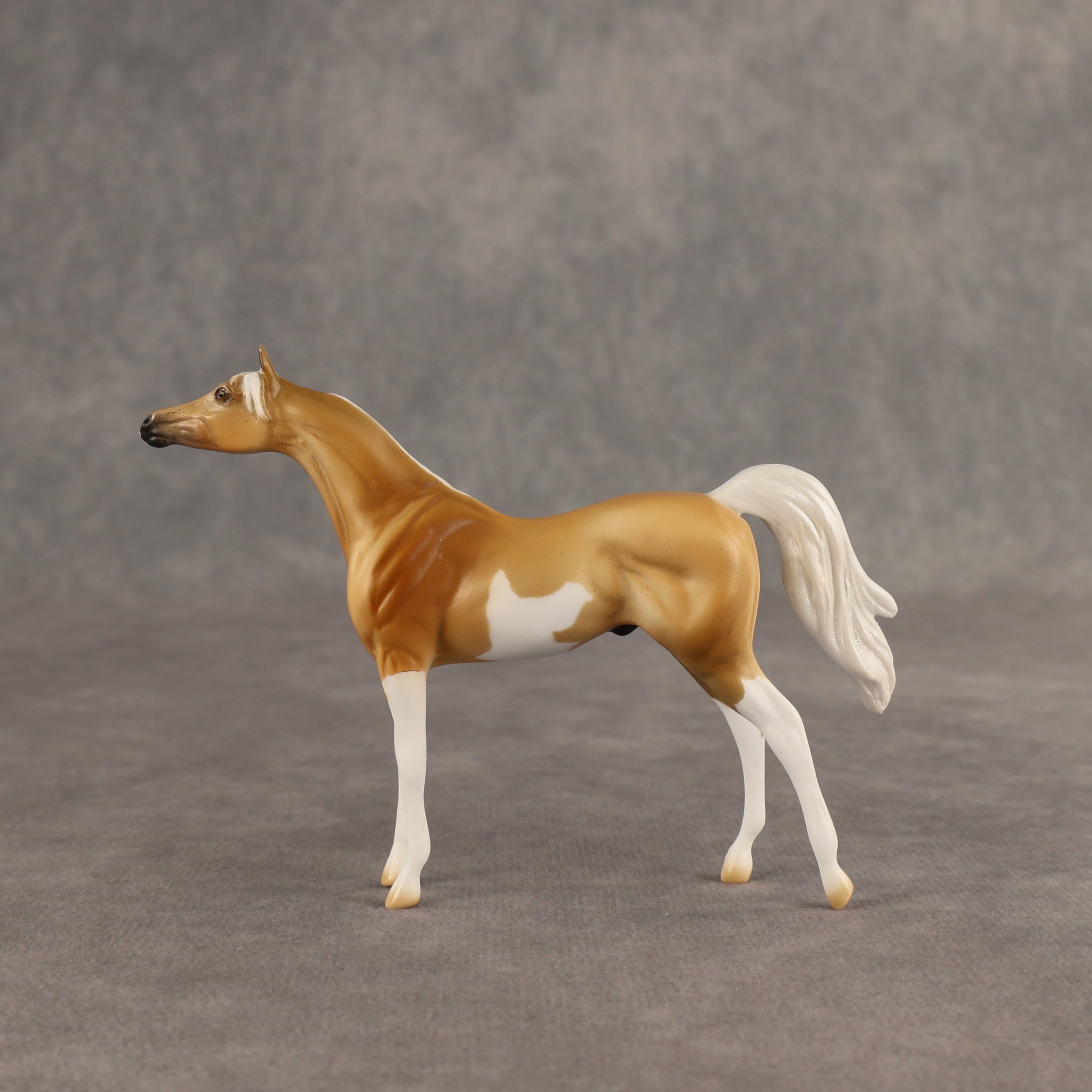Calvin  OOAK Chip Arabian by Dawn Quick SHCF26