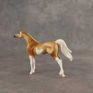 Calvin  OOAK Chip Arabian by Dawn Quick SHCF26