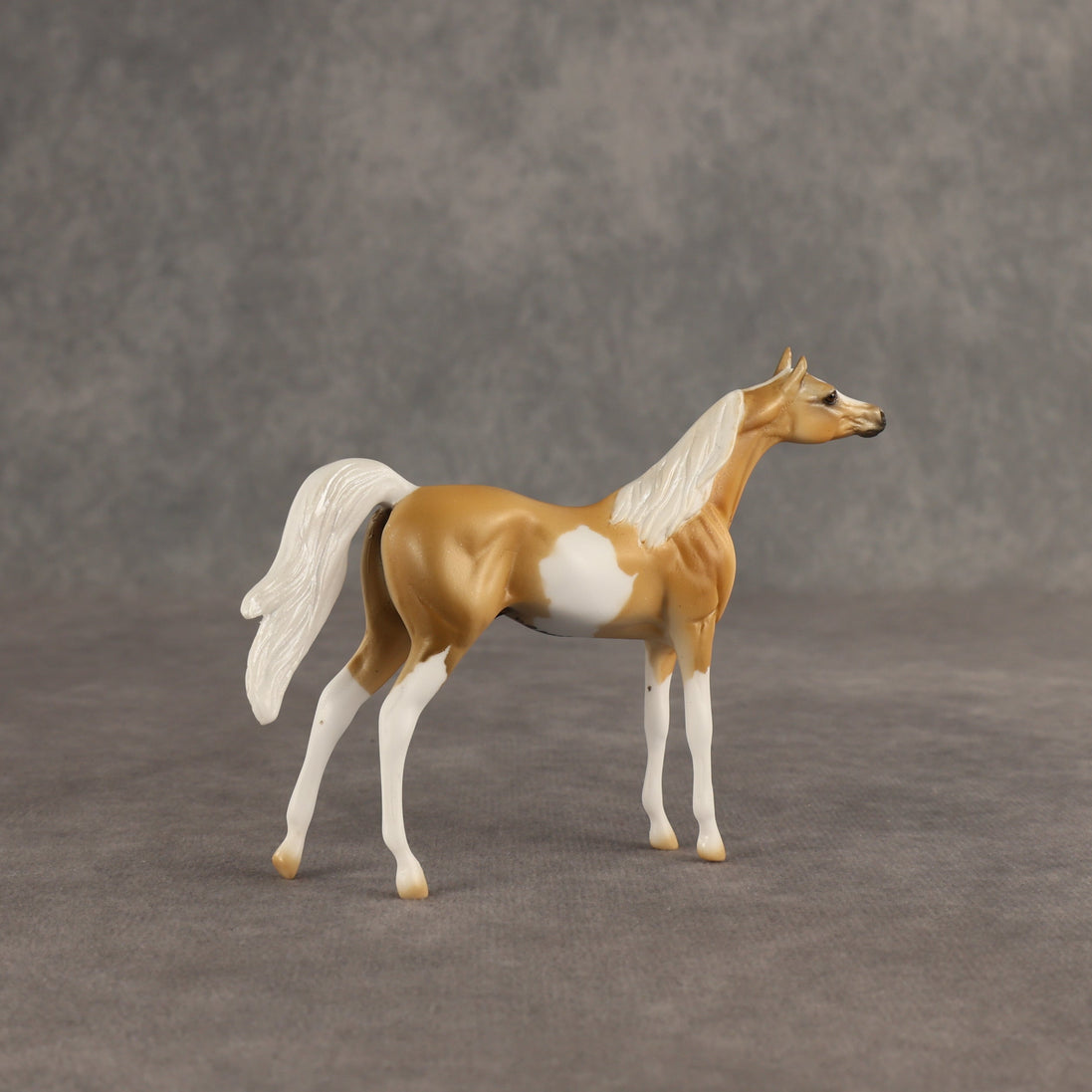 Calvin  OOAK Chip Arabian by Dawn Quick SHCF26