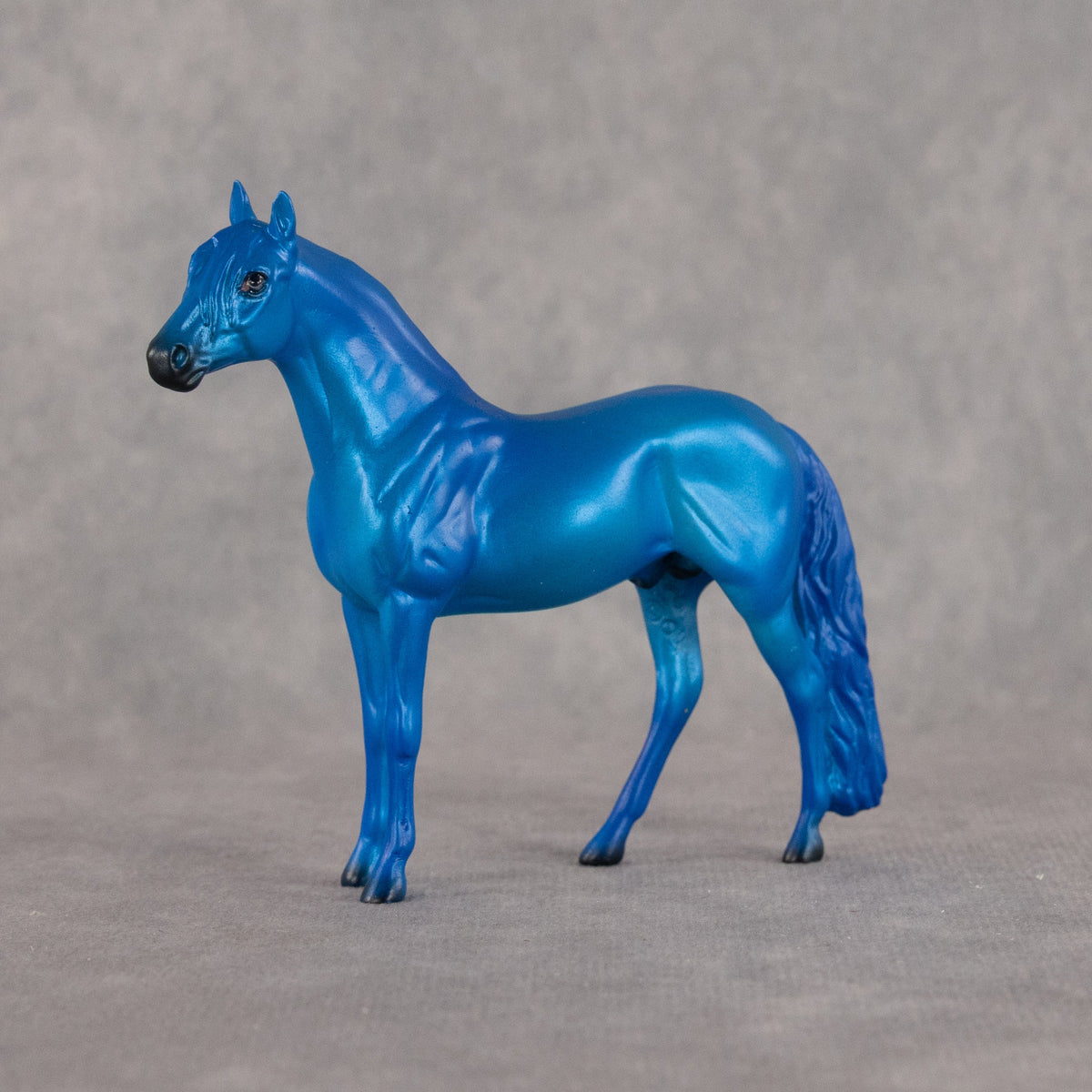 Capri OOAK Chip Andalusian by Dawn Quick LHS26