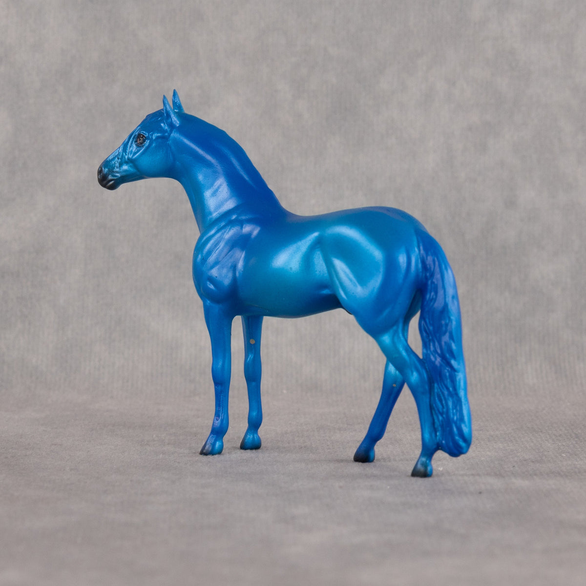 Capri OOAK Chip Andalusian by Dawn Quick LHS26