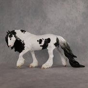 Preview: Captain Finn LE-5 FCM Irish Cob by Jess Hamill MM26