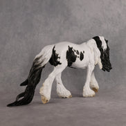 Preview: Captain Finn LE-5 FCM Irish Cob by Jess Hamill MM26
