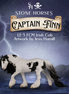 Preview: Captain Finn LE-5 FCM Irish Cob by Jess Hamill MM26