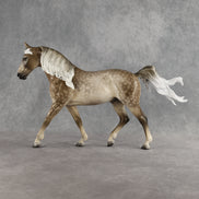 Preview: Captain Hercule LE-5 EFCM Irish Draught by Ashley Palmer MM26