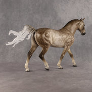 Preview: Captain Hercule LE-5 EFCM Irish Draught by Ashley Palmer MM26