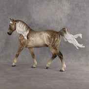Preview: Captain Hercule LE-5 EFCM Irish Draught by Ashley Palmer MM26