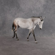 Preview: Captain Matty LE-5 EFCM Large Mule by Ellen Robbins MM26
