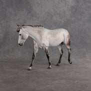 Preview: Captain Matty LE-5 EFCM Large Mule by Ellen Robbins MM26