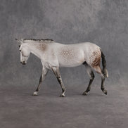 Preview: Captain Matty LE-5 EFCM Large Mule by Ellen Robbins MM26