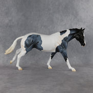 Captain Roberts LE-15 FCM Remington by Madi Wiseman EQ26